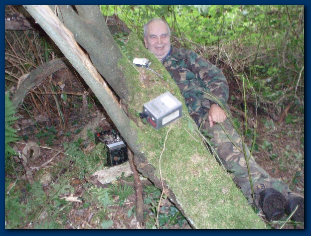 600x449 pixels (179K)